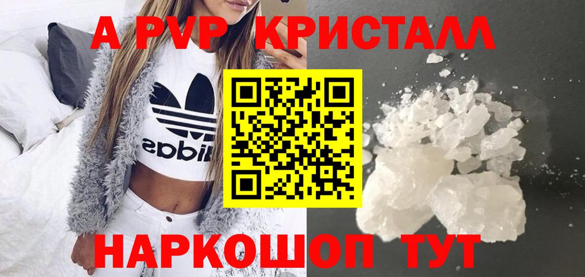 Alfa_PVP СК Горно-Алтайск