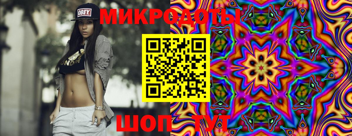 Галлюциногенные грибы MAGIC MUSHROOMS  Вход с VPN  Горно-Алтайск 