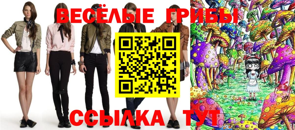 Псилоцибиновые грибы мицелий Горно-Алтайск